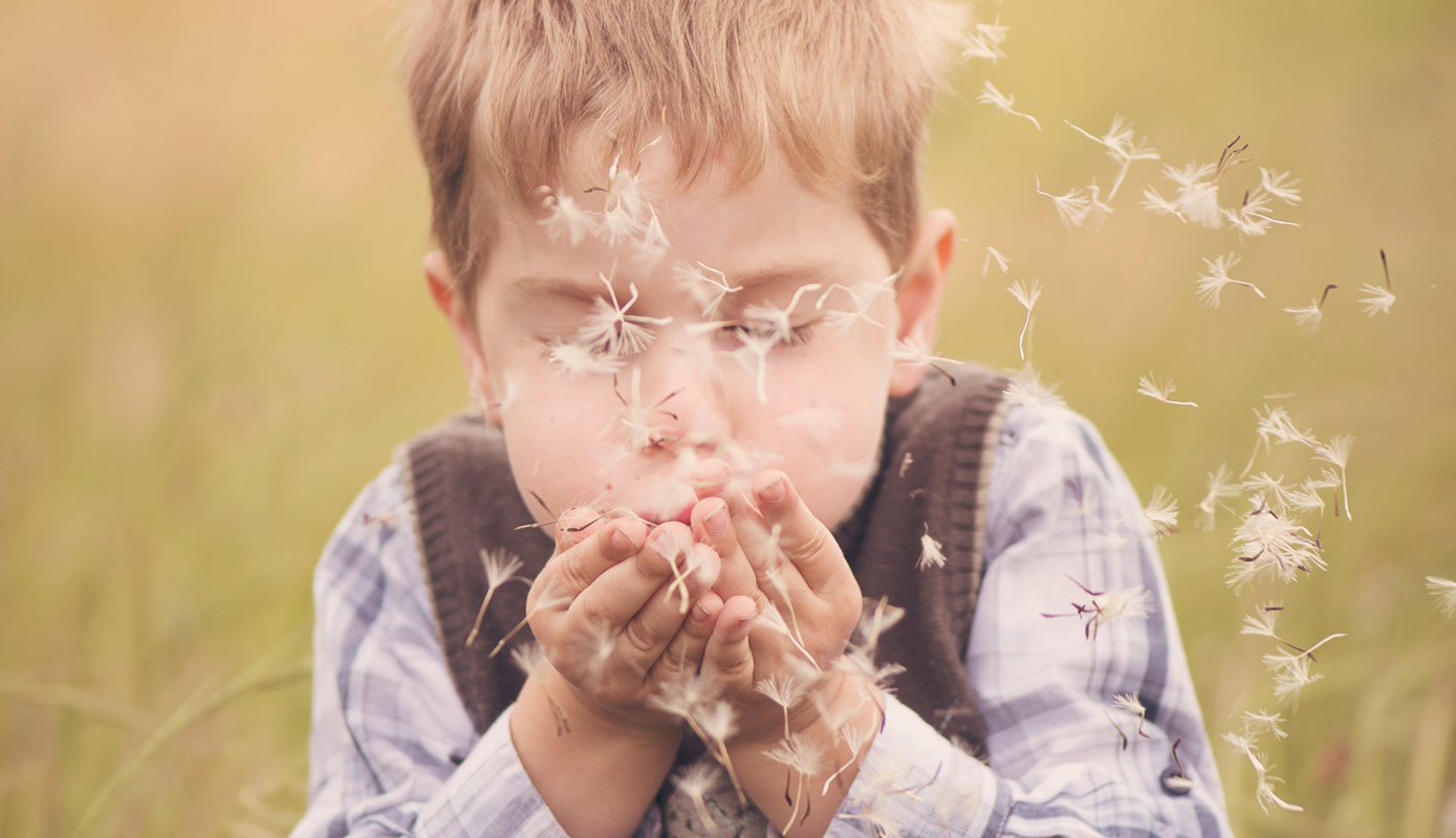 Tims Abenteuer im Traumland